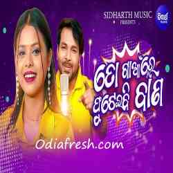 To Gaanre Phuteibi Bana